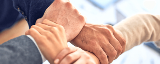 Passez ces 5 niveaux et vous serez la best legal team ever !