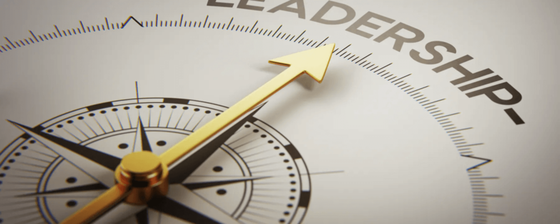 Quel leader êtes-vous? Annoncez la couleur! C’est le secret du succès!