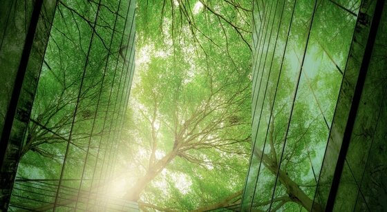 Vignette-article-fed-construction