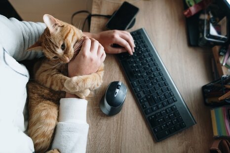 Vignette-article-fed-it