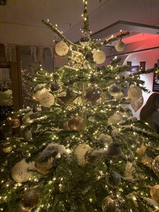 Joyeux Noël des Enfants chez Fed ! 