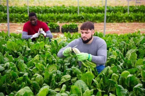 Ces métiers de la nature qui recrutent en 2022